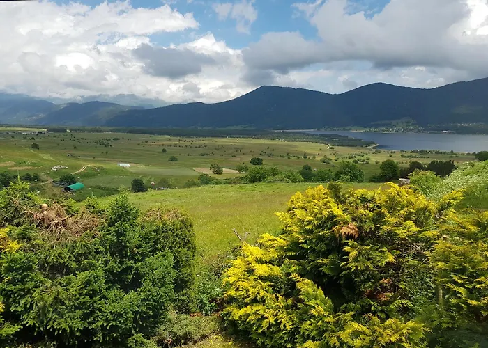 Pres Des Pistes Avec Vue Panoramique